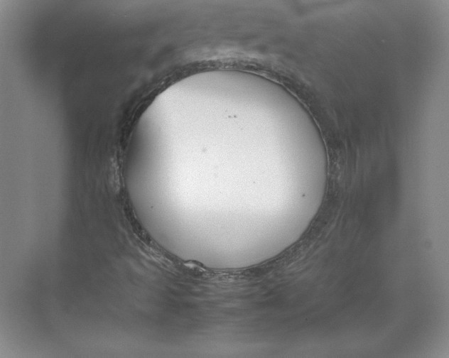 X0000074931493200609221625