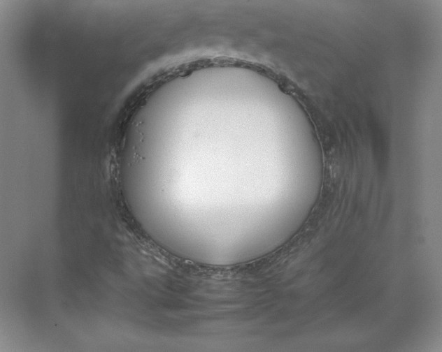 X0000074931495200609221625