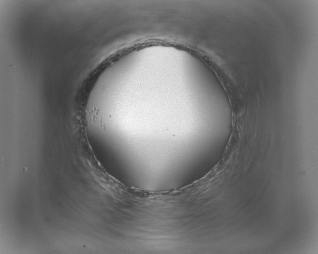 X0000074931496200609221625