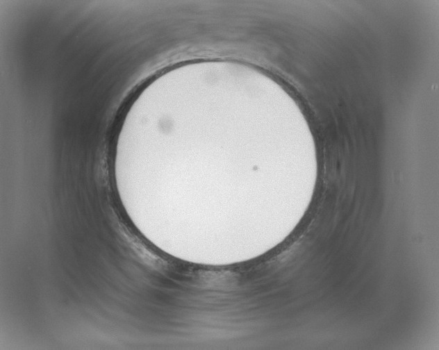 X0000074931498200609221625