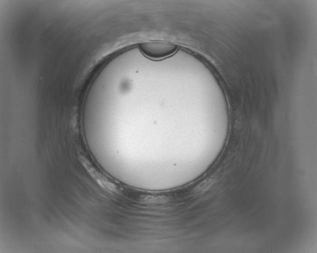 X0000074931499200609221625