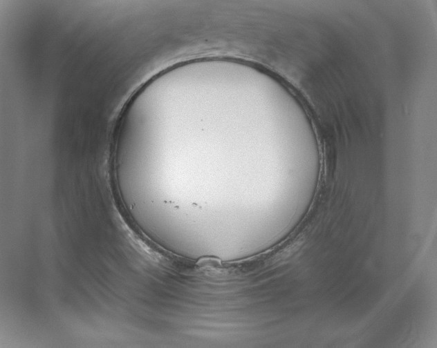 X0000074931500200609221625