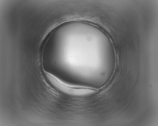 X0000074931501200609221625