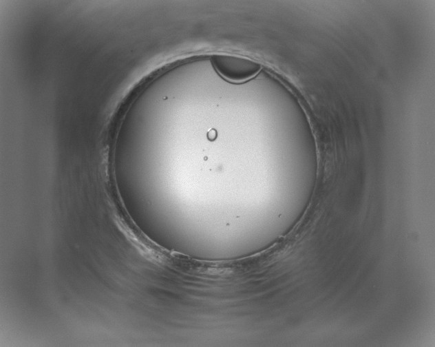 X0000074931503200609221625