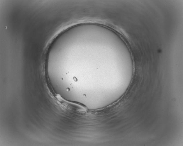 X0000074931504200609221625