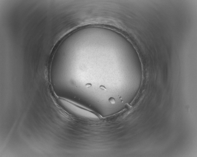 X0000074931505200609221625