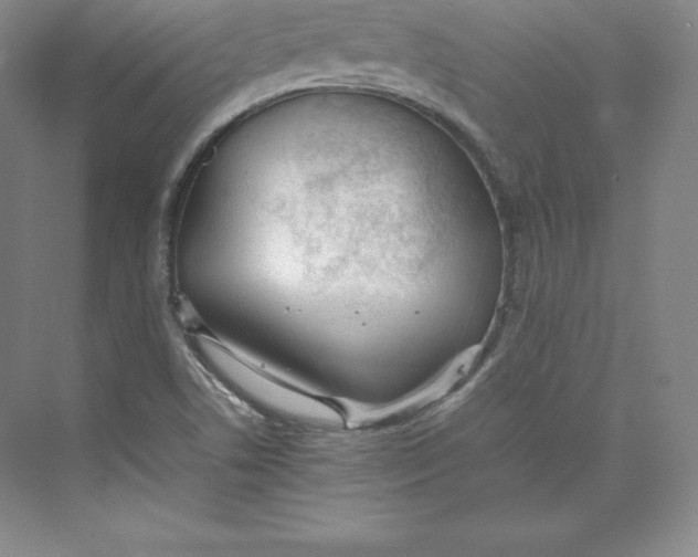 X0000074931506200609221625