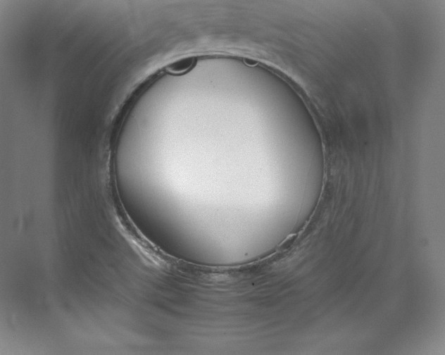 X0000074931507200609221625