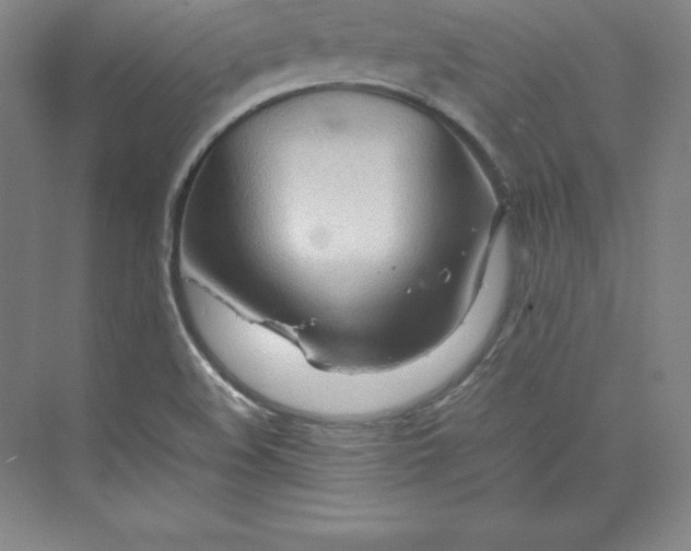 X0000074931508200609221625