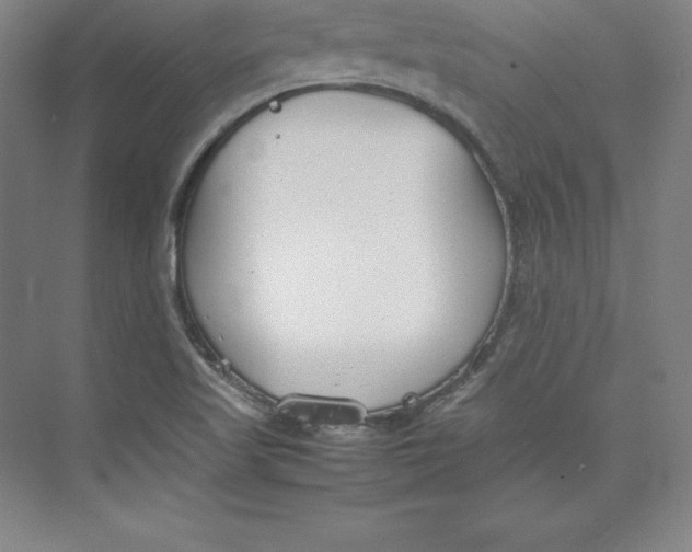 X0000074931509200609221625