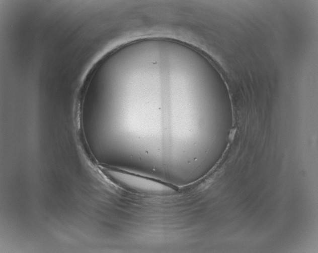 X0000074931510200609221625