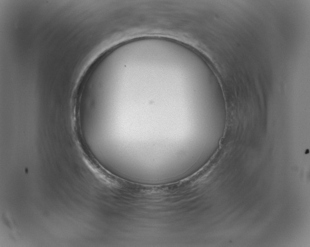 X0000074931511200609221625