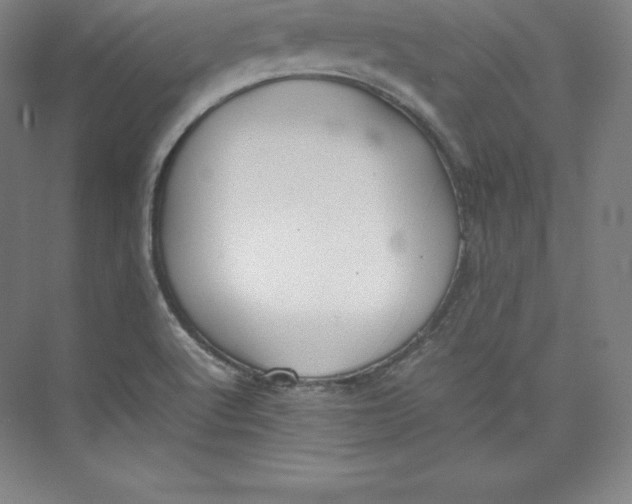 X0000074931512200609221625