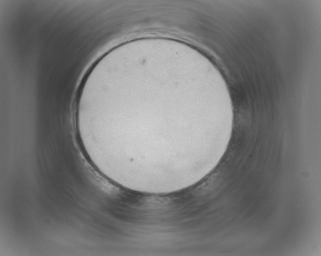 X0000074931514200609221625