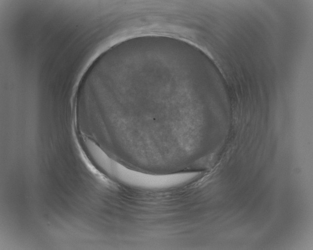 X0000074931515200609221625