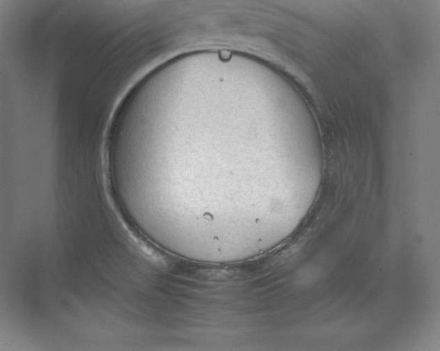 X0000074931517200609221625