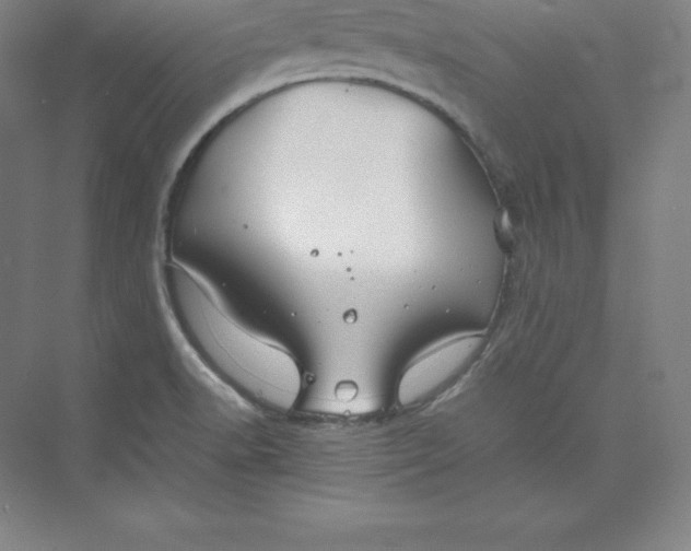 X0000074931518200609221625