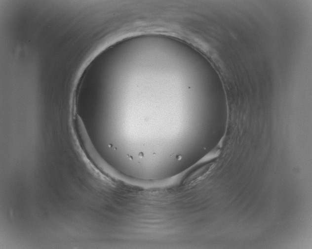 X0000074931520200609221625