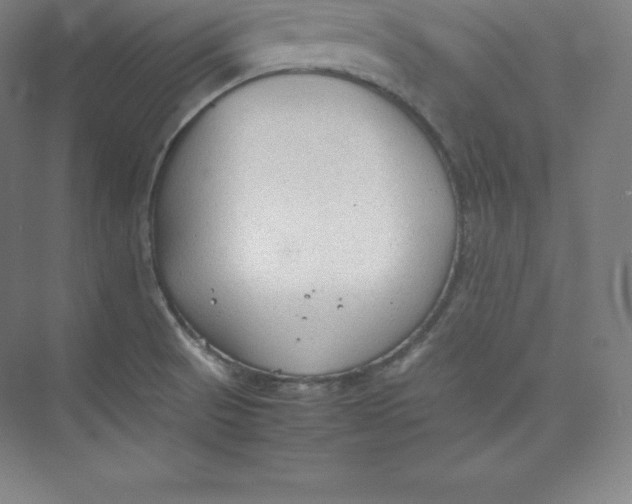 X0000074931521200609221626