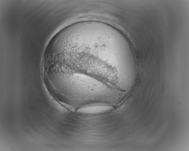 X0000074931522200609221626