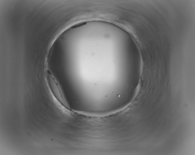 X0000074931524200609221626