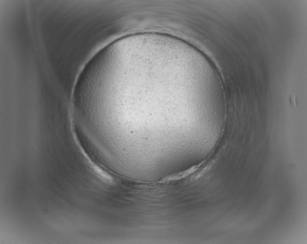 X0000074931525200609221626