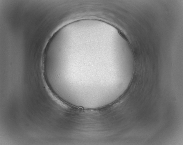 X0000074931526200609221626