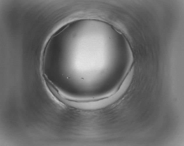 X0000074931528200609221626