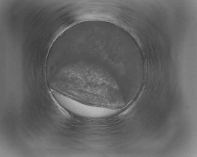 X0000074931529200609221626