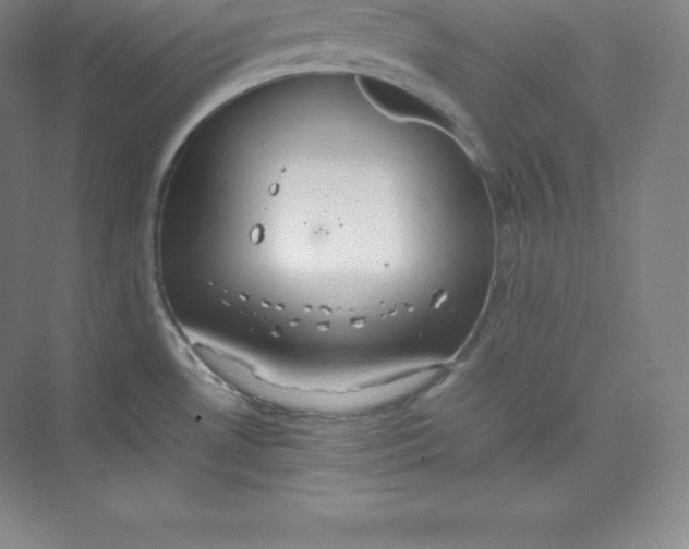 X0000074931530200609221626