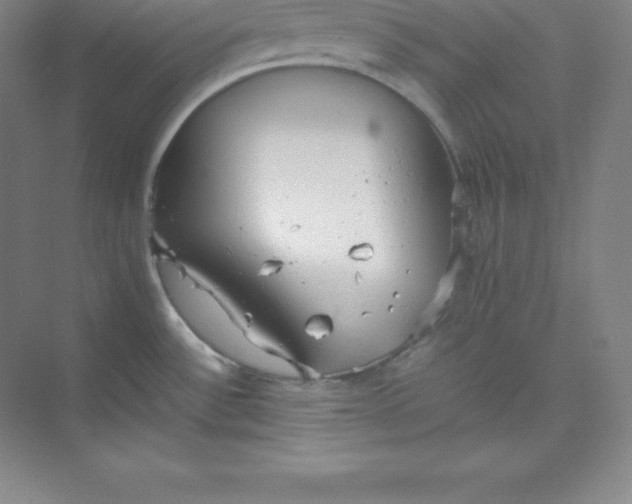 X0000074931532200609221626