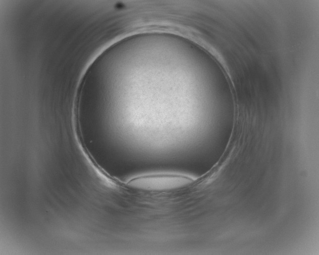 X0000074931533200609221626