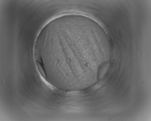 X0000074931535200609221626