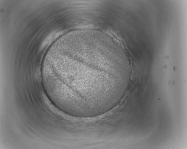 X0000074930002200609291809