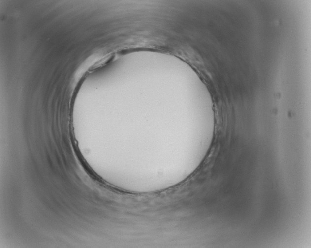 X0000074930003200609291809