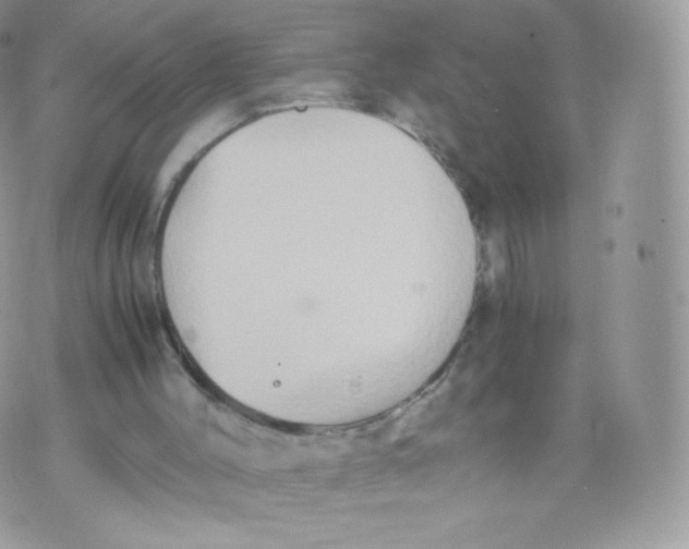 X0000074930004200609291809