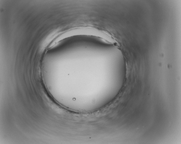 X0000074930005200609291809