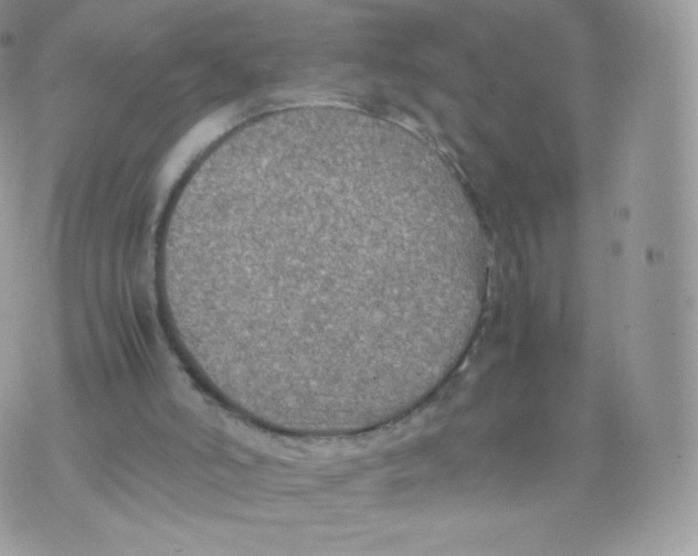 X0000074930006200609291809