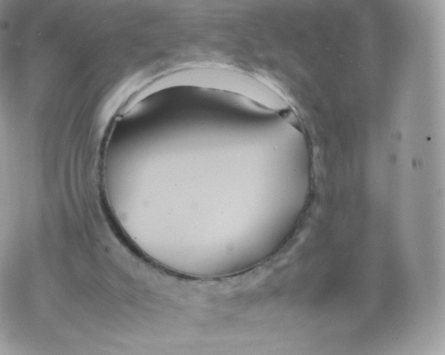 X0000074930007200609291809