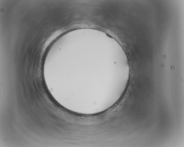 X0000074930008200609291809