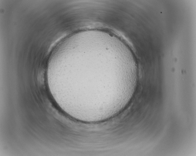 X0000074930010200609291809