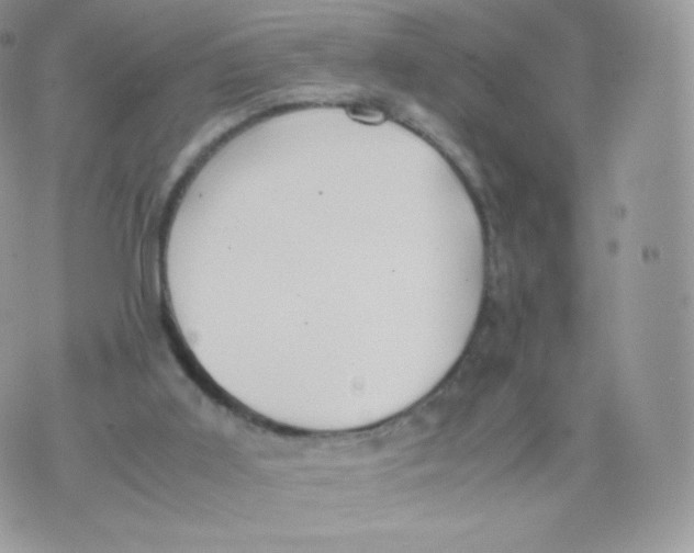 X0000074930011200609291809