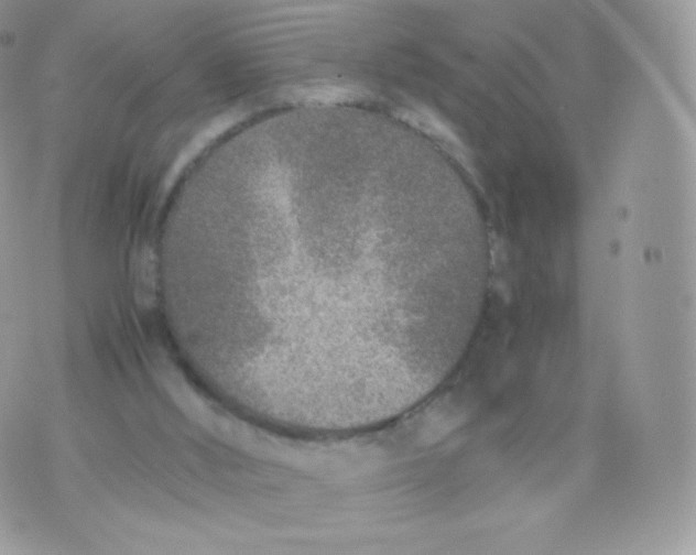 X0000074930012200609291809