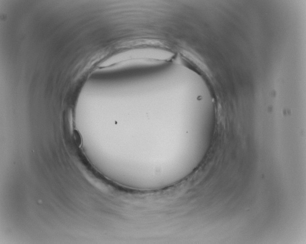 X0000074930013200609291809