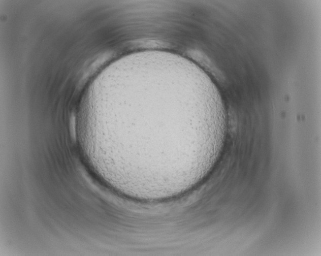 X0000074930014200609291808