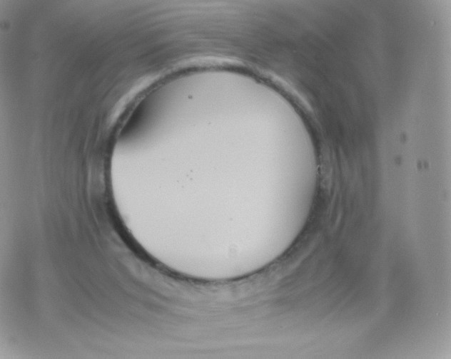 X0000074930015200609291808