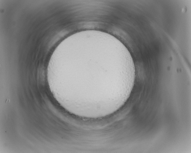 X0000074930016200609291808