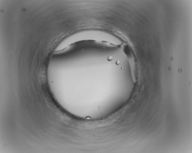 X0000074930017200609291808