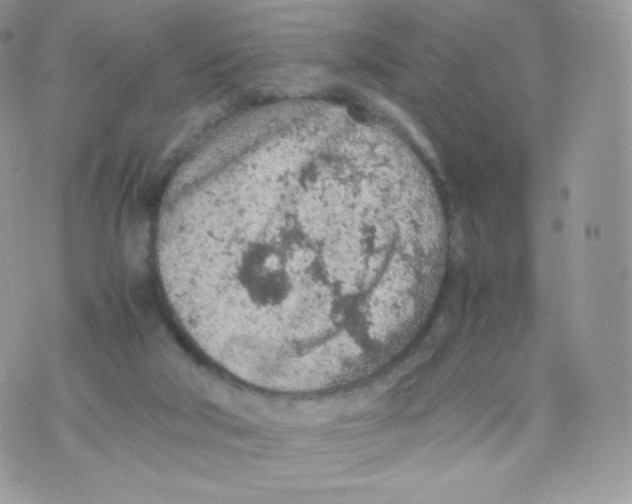 X0000074930018200609291808