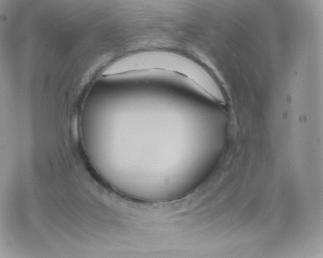 X0000074930019200609291808